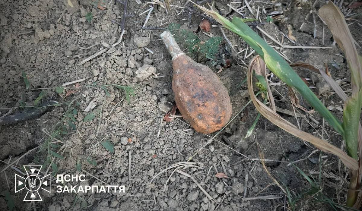 Második világháborús kézigránátokra bukkantak Ungvár közelében