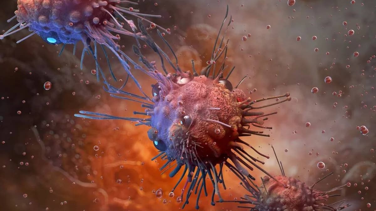 Antidepresszánsok az immunterápiában: ígéretes ugyan, de további kutatásra vár a hatásük