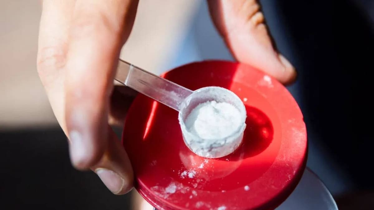Kreatin fogyasztása és erősítő edzés: izomépítés mellett kisebb testzsírcsökkenés is várható