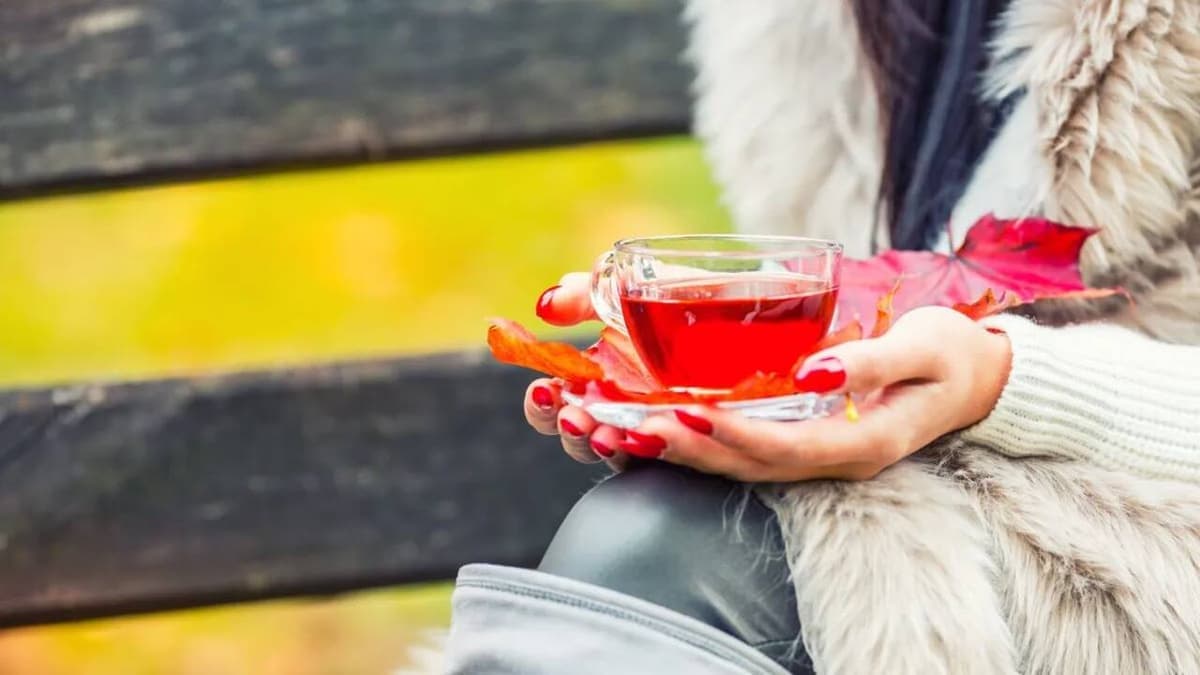 Csipkebogyópor: természetes segítség ízületi kopás ellen, hatékonyabb a teakészítménynél