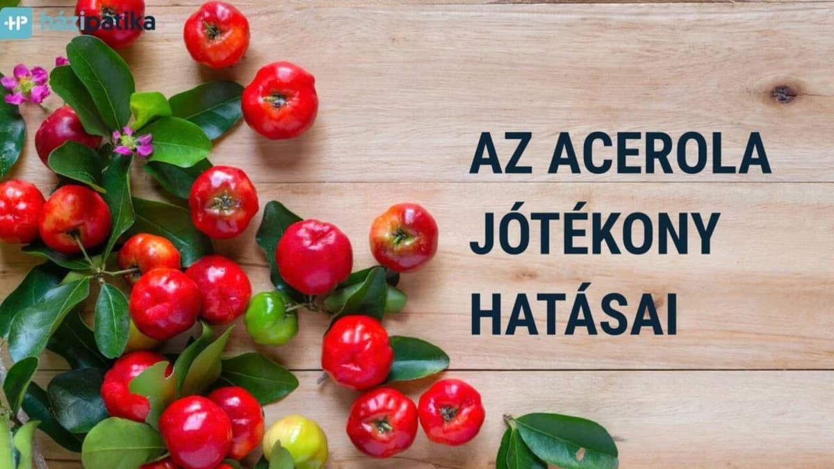 A C-vitaminban gazdag acerola: különleges trópusi gyümölcs egészségügyi hatásai és fogyasztási tanácsai