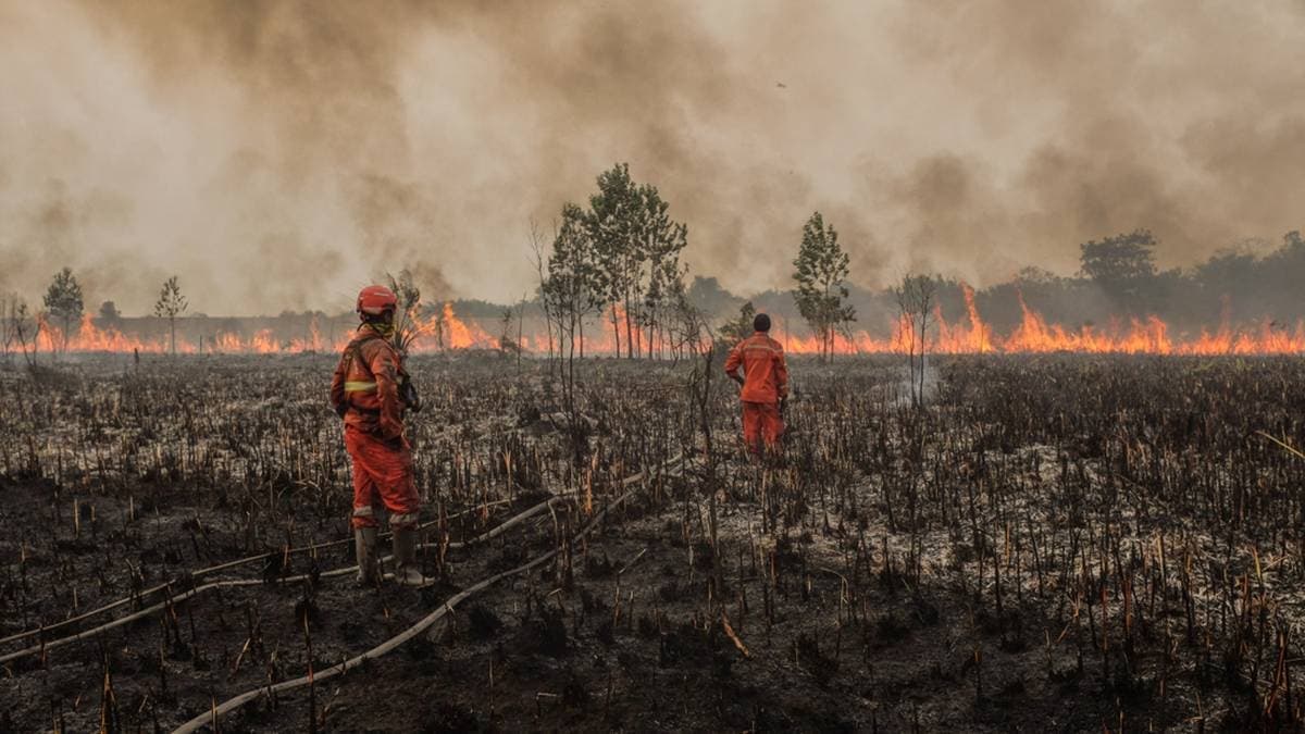Előrejelzés: Fél éven belül több százezer áldozatot követelhet az El Niño által gerjesztett hőség