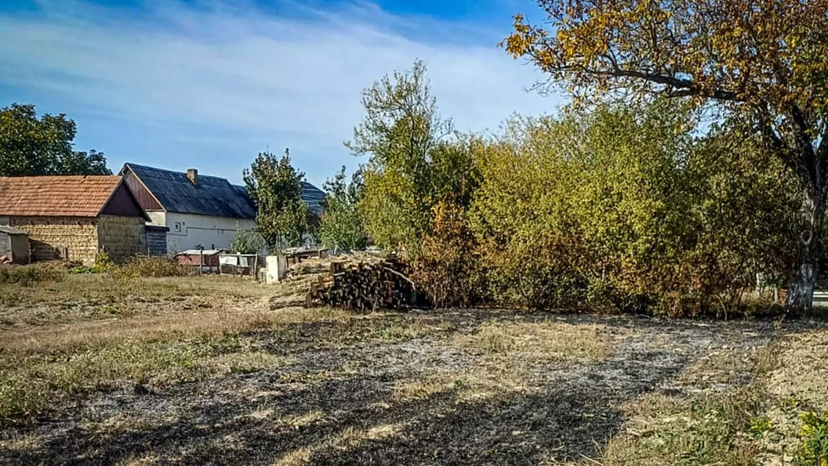 Fokozott tűzveszély Kárpátalján: 12 lángoló terület az elmúlt napban