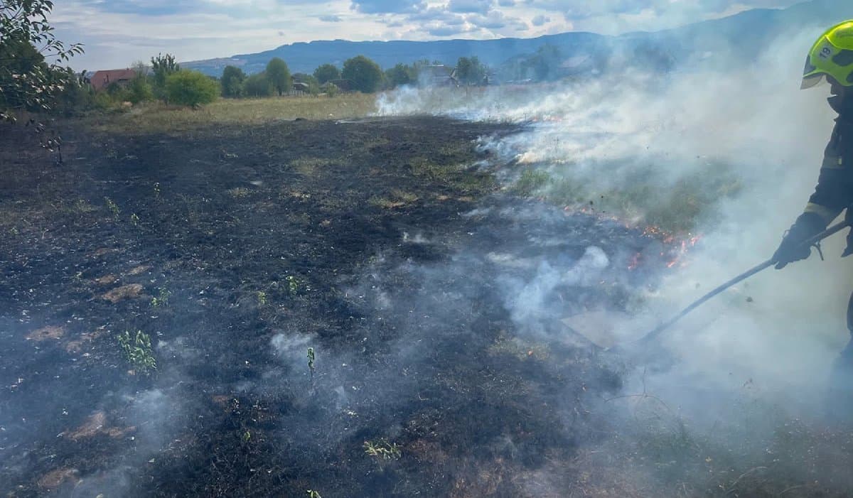 Közel ezer hektárt érintő tűzesetek pusztítanak idén Kárpátalján