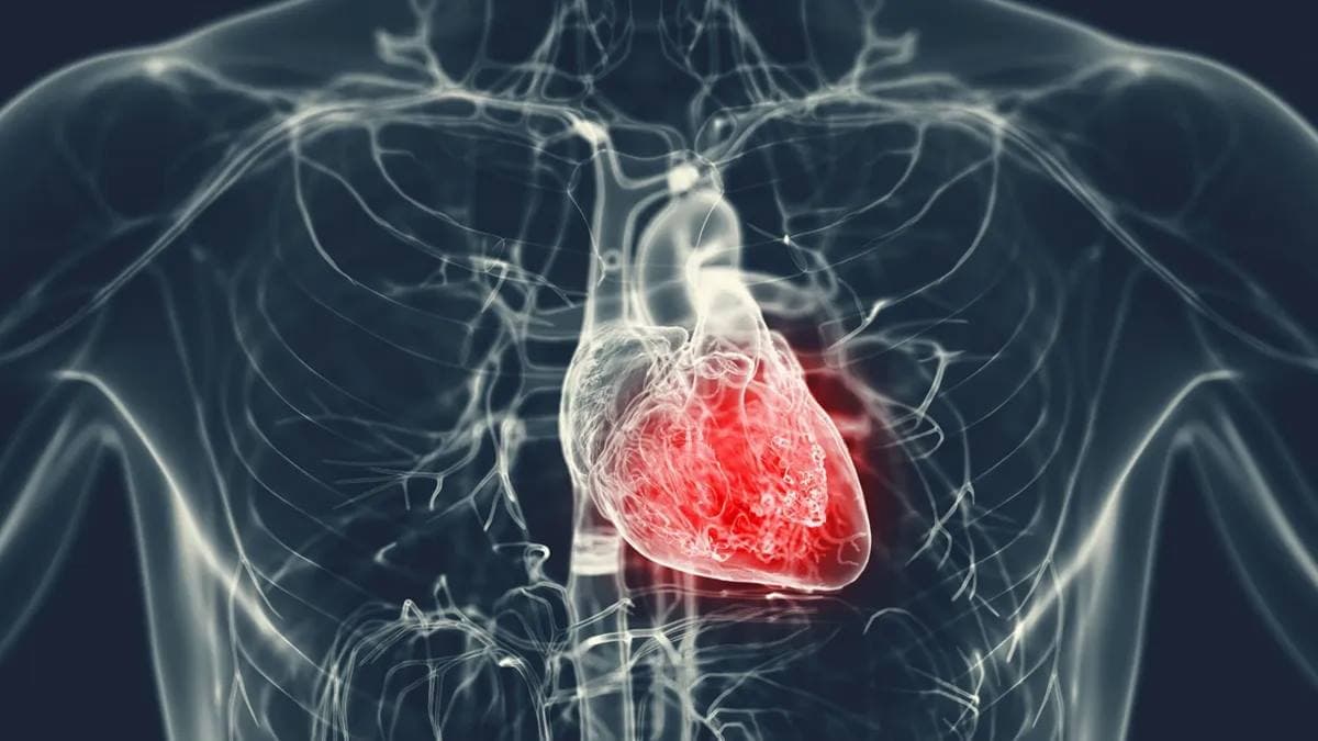 Innovatív BioTAK teszt gyorsan megkülönbözteti az összetört szívet a szívinfarktustól