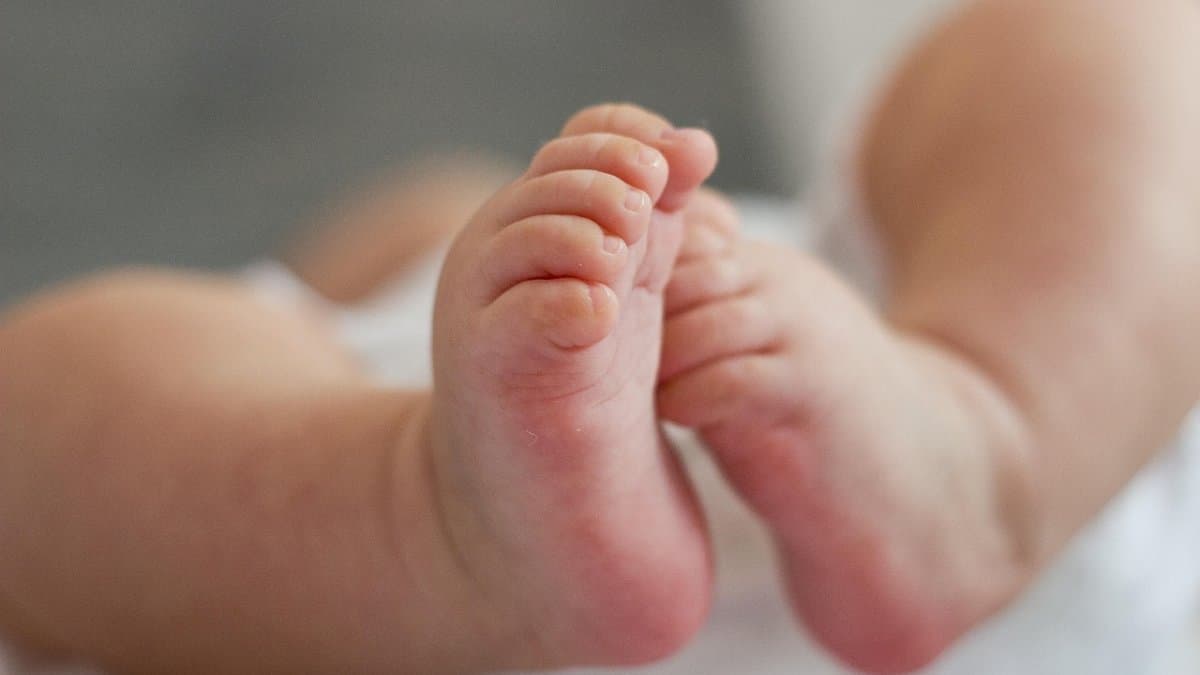 Csehországban jelentősen nőtt a külföldi állampolgárságú újszülöttek aránya