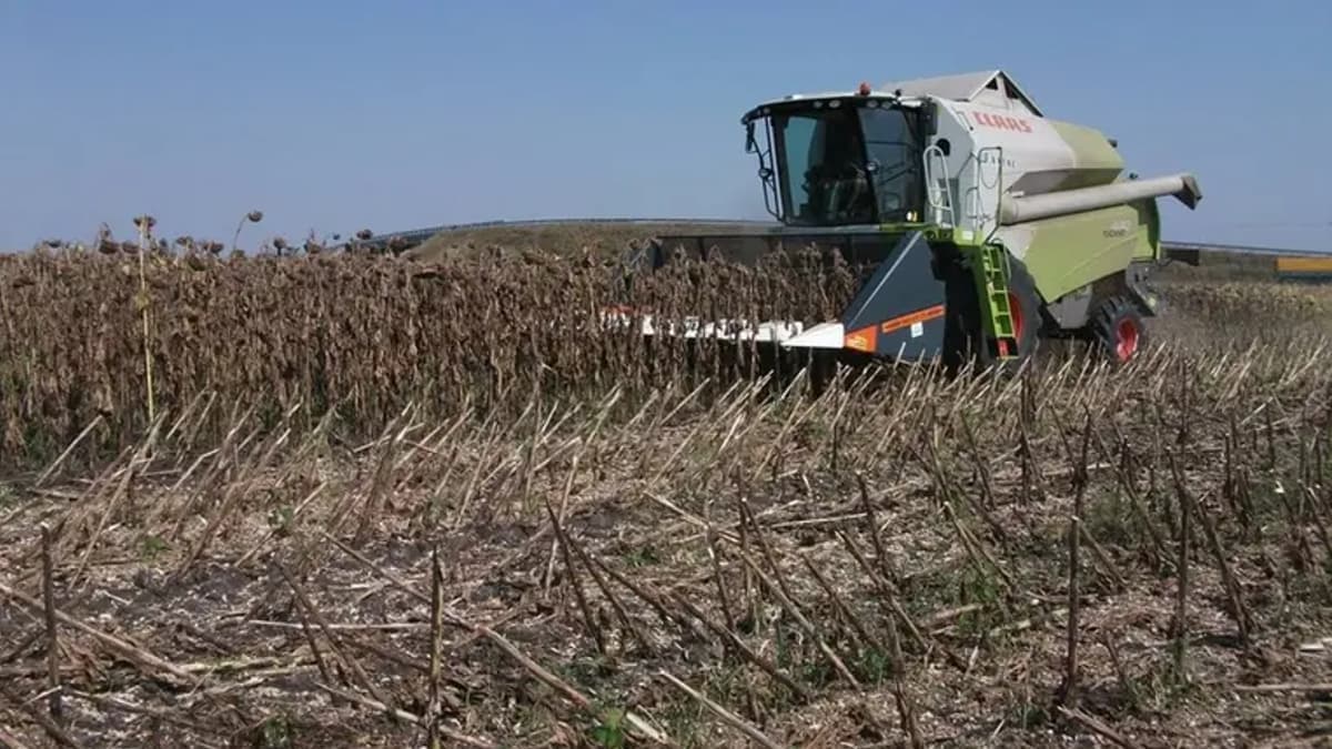 Kárpátaljai agrárium válsága: a több lábon állás lehet a kiút?