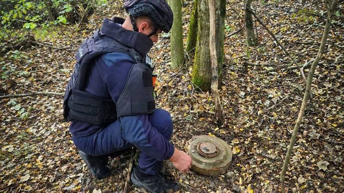 Második világháborús harckocsiaknát találtak a guti erdőben