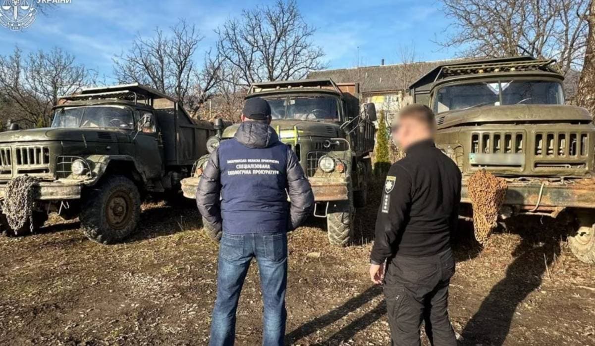 Szervezett illegális fakitermelést lepleztek le a Técsői járásban