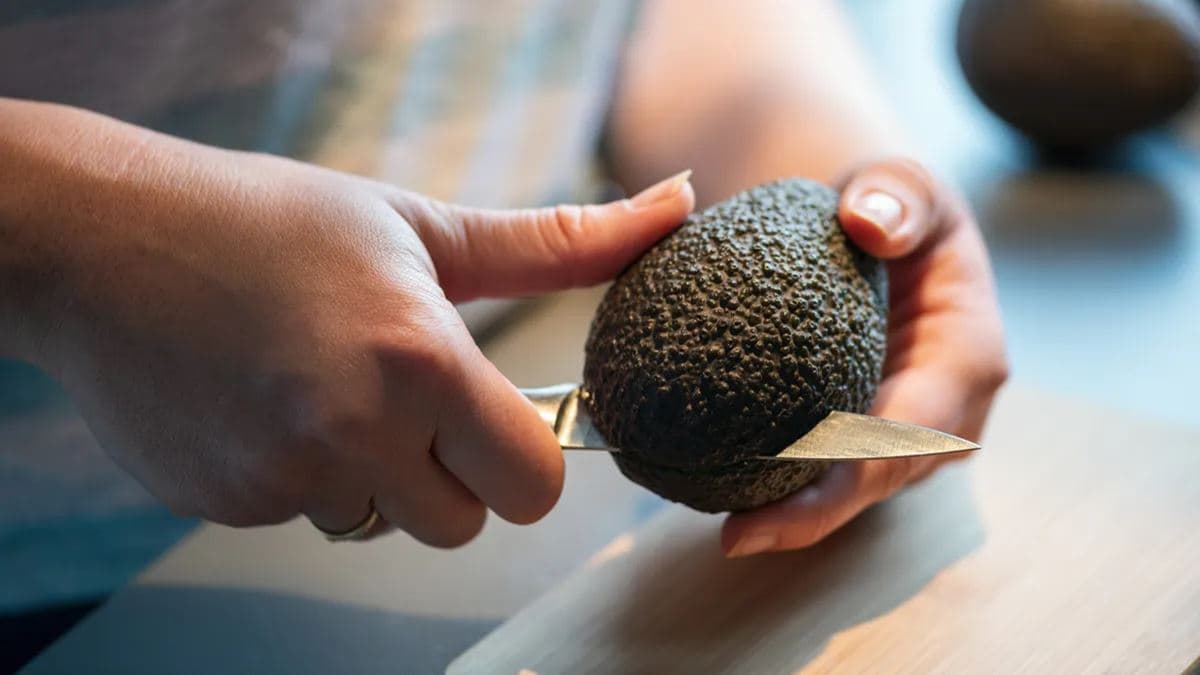 Az avokádó sokszínűsége a konyhában: hét könnyen követhető ötlet reggelitől desszertig