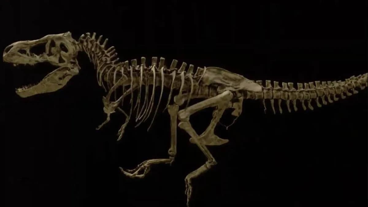 70 millió évvel ezelőtti ragadozó dinoszaurusz maradványait tárták fel Argentínában