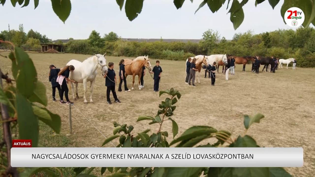 Nyaraltak a nagycsaládos fiatalok a Szelíd Lovasközpontban