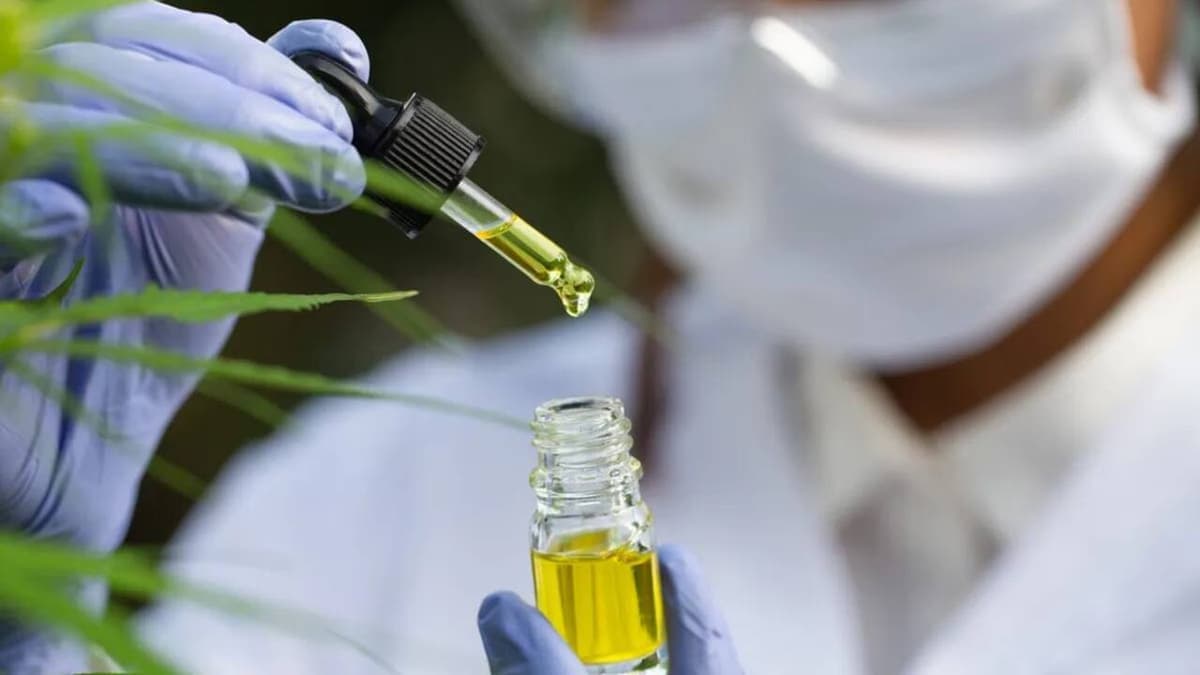 CBD-olaj: Lehetséges előnyök és fontos kockázatok egyensúlya