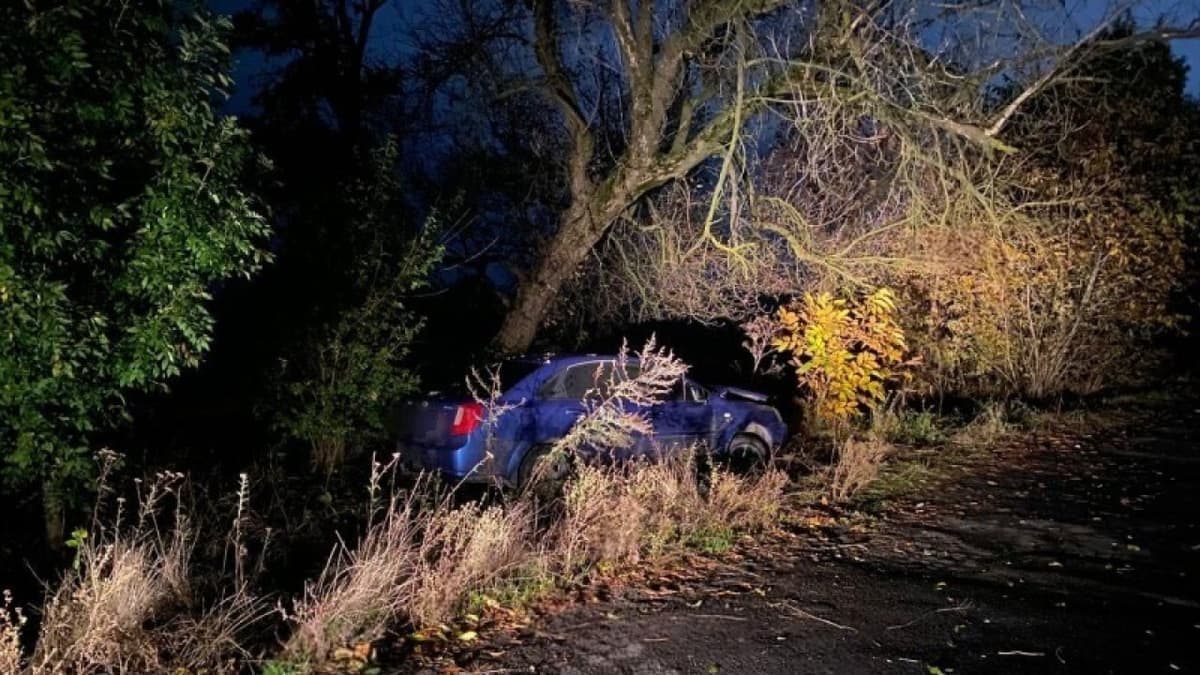Italozott sofőr gázolt el két fiatalt Odesszában, majd fának ütközött
