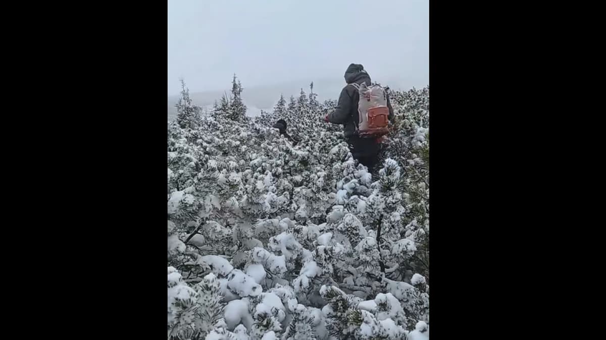 Közel a fagyihoz – Vinnicjából érkező turista tévedt el a Hoverlánál