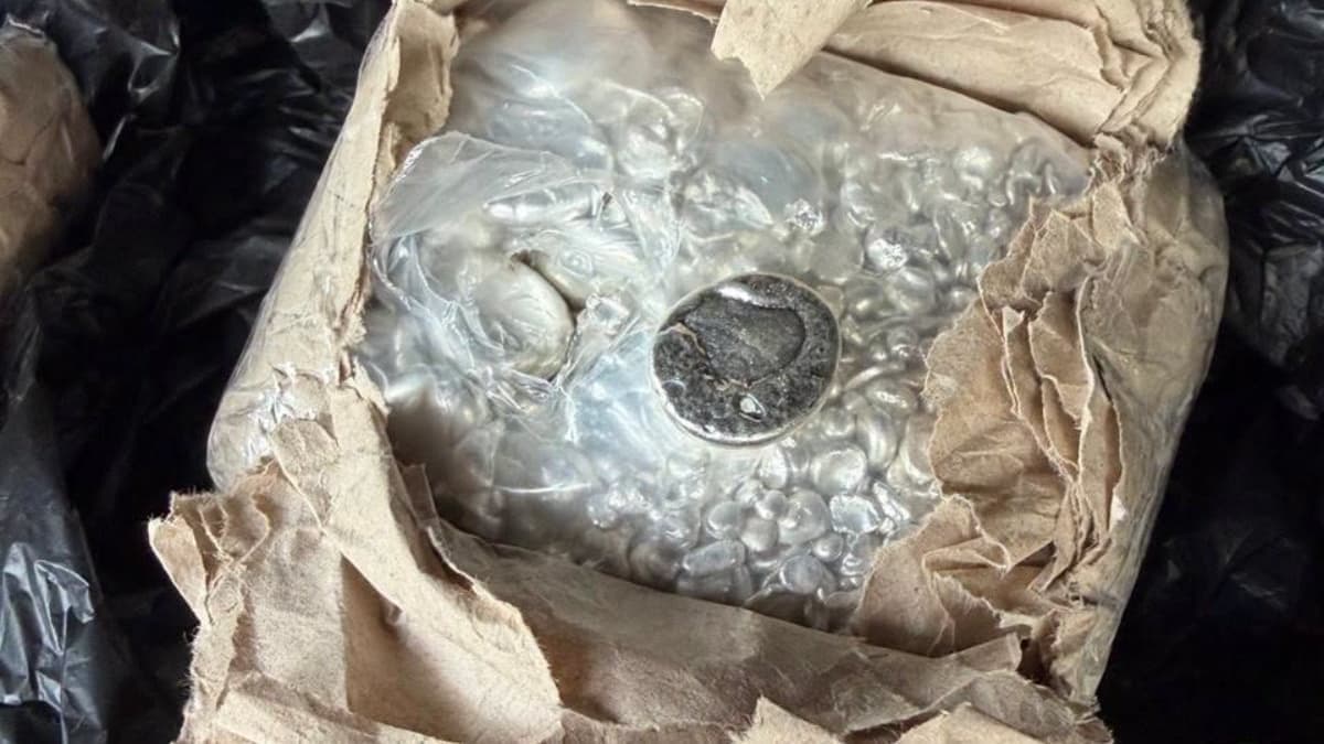 Hat kilogramm ezüstöt próbált csempészni a határon egy kárpátaljai férfi