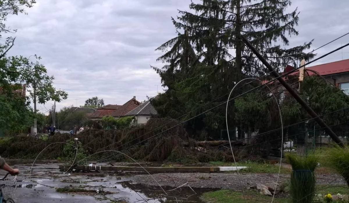 Viharkárok után pénzügyi segítség a Beregszászi kistérségben