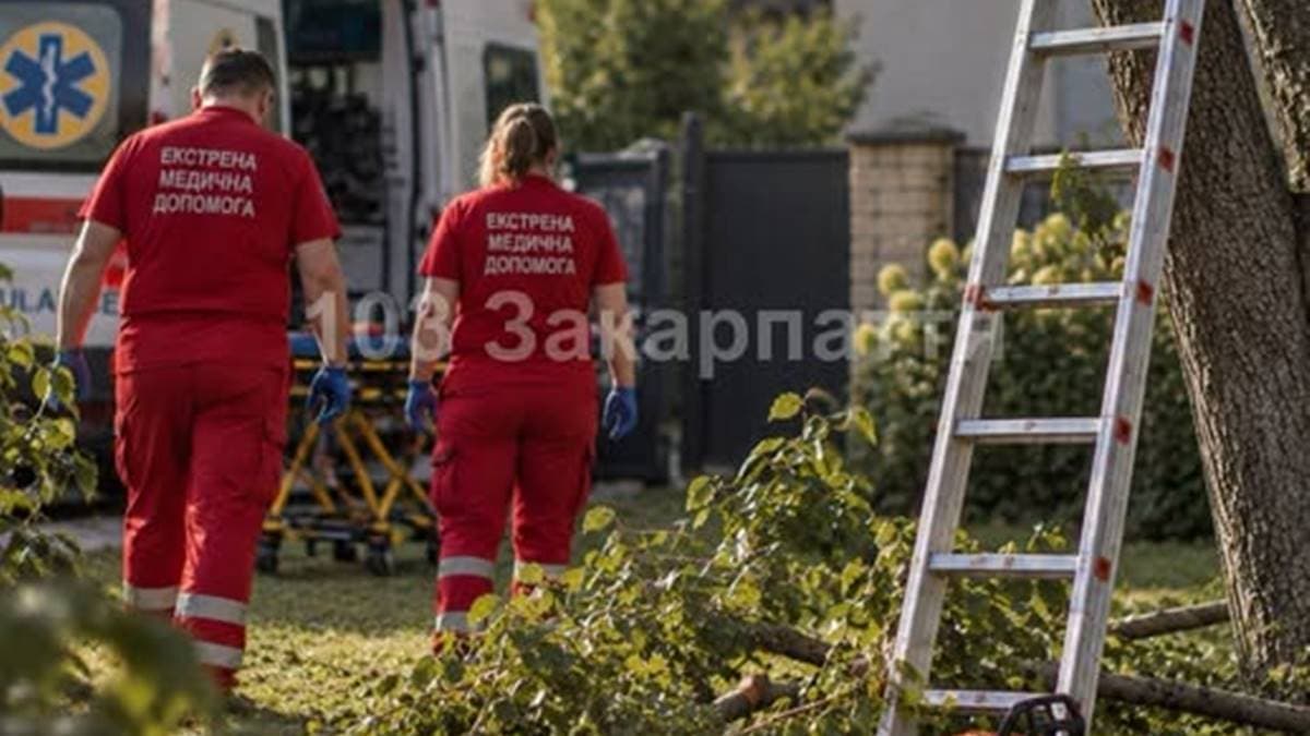 Halálos zuhanás Kárpátalján: Fametszés közben vesztette életét egy idős férfi