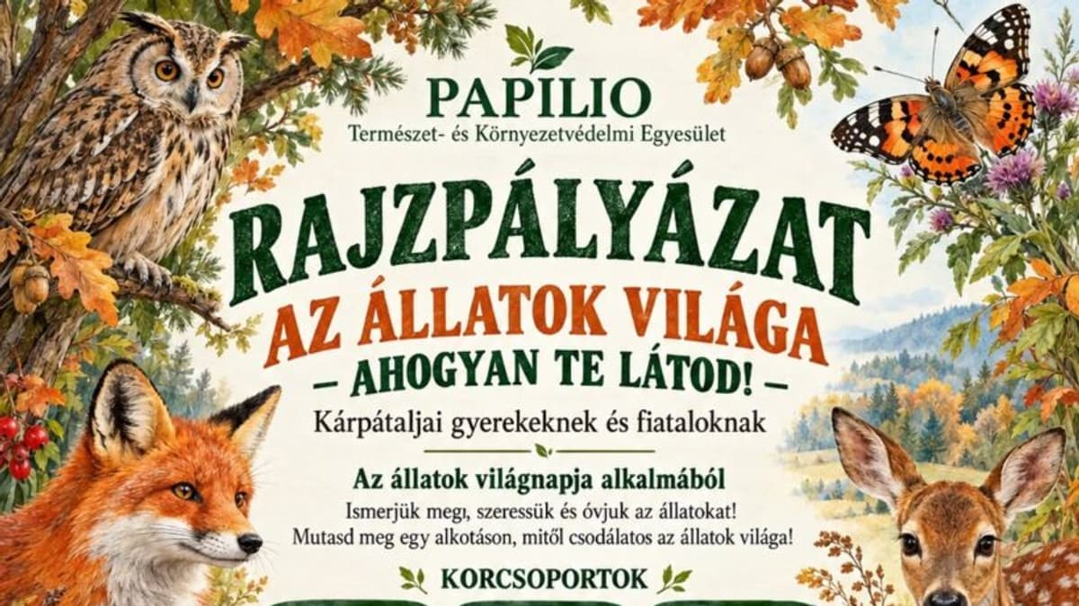 Rajzpályázat Kárpátaljai Gyerekeknek: Az Állatok Világa a Te Szemeddel