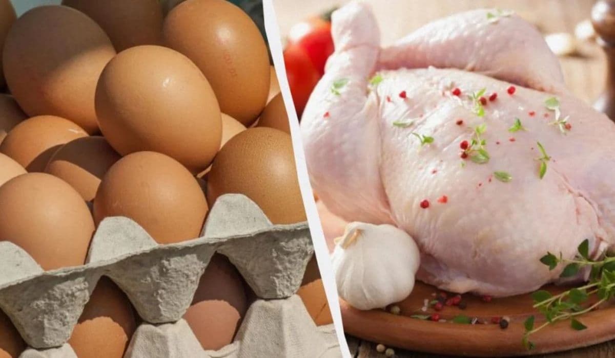 Csökkenő árak várhatók a csirkehús és tojás piacán Ukrajnában