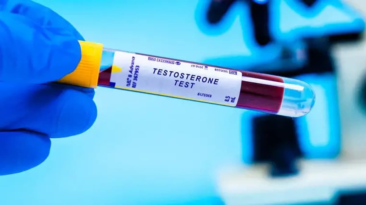 A zsigeri zsír kulcsszerepe az alacsony tesztoszteronszintben