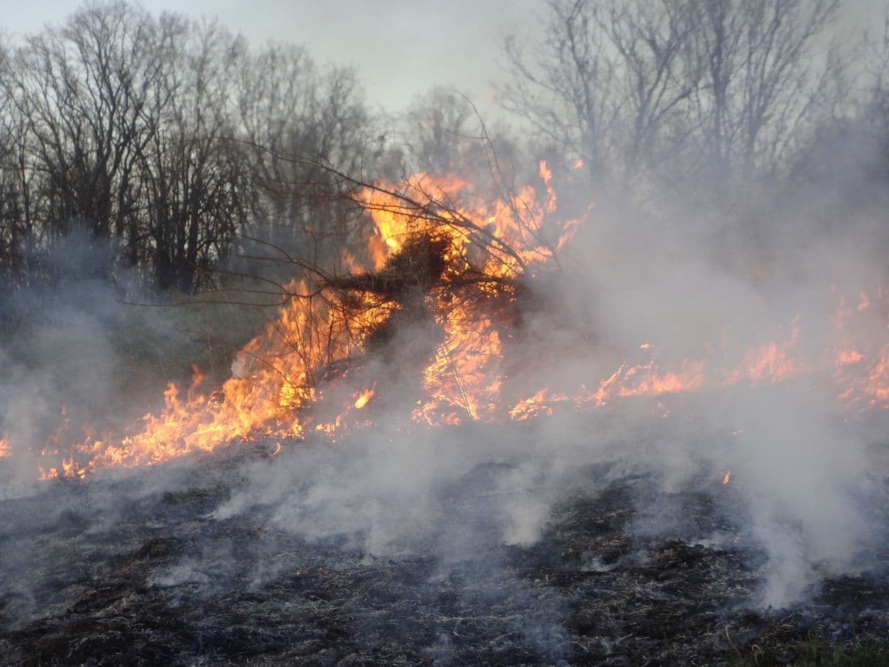 Új hőhullám súlyosbítja a dél-franciaországi tüzek elleni küzdelmet