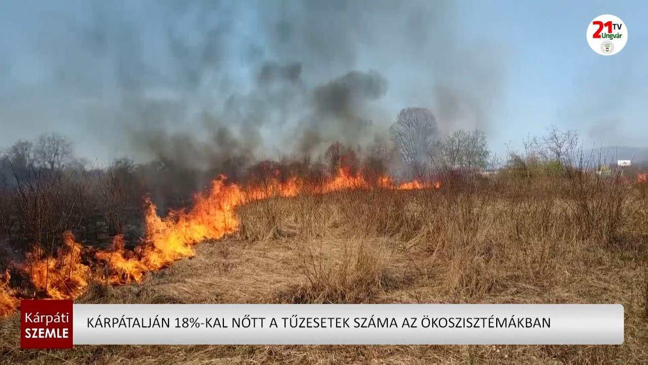 Kárpátalján jelentősen nőtt a szabadtéri tűzesetek száma a szárazság miatt