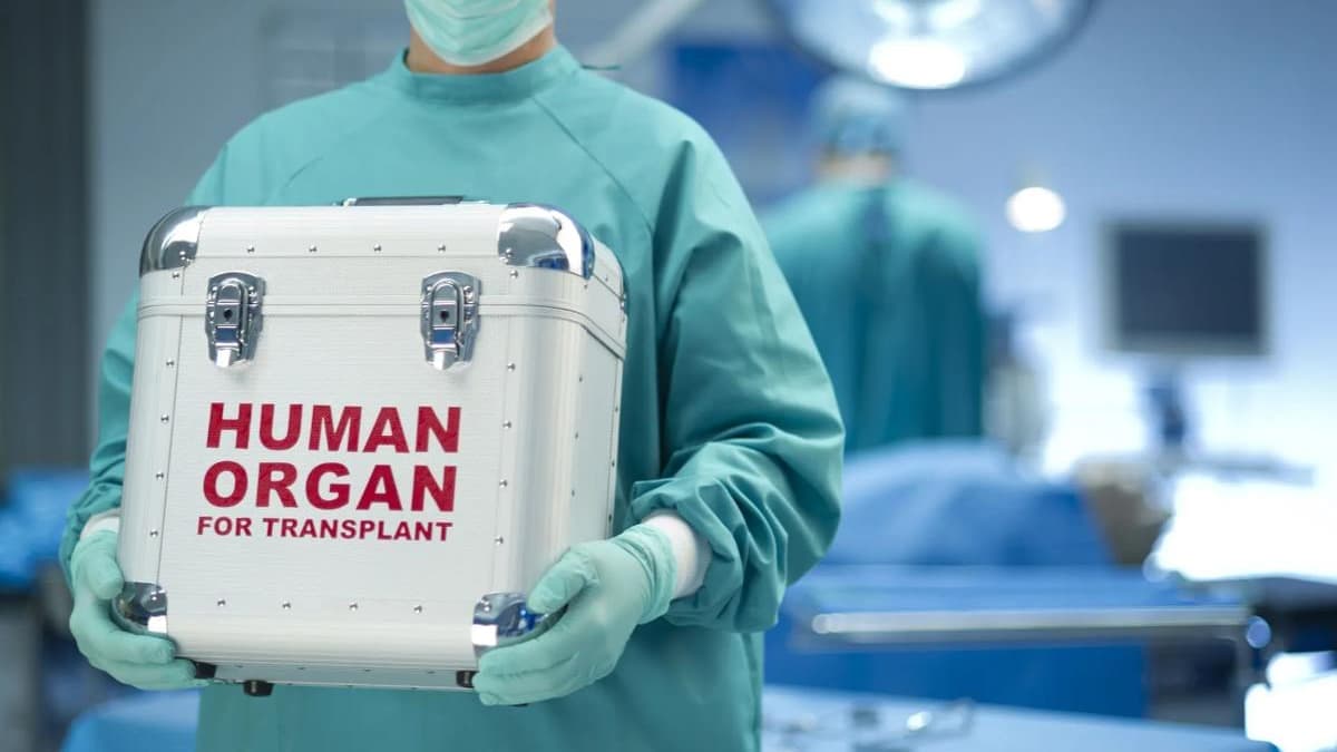 Október második szombatja: a szervdonáció és transzplantáció napja