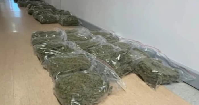 Több mint 900 kg marihuánát rejtett a kanadai ruhaimport Lengyelországban