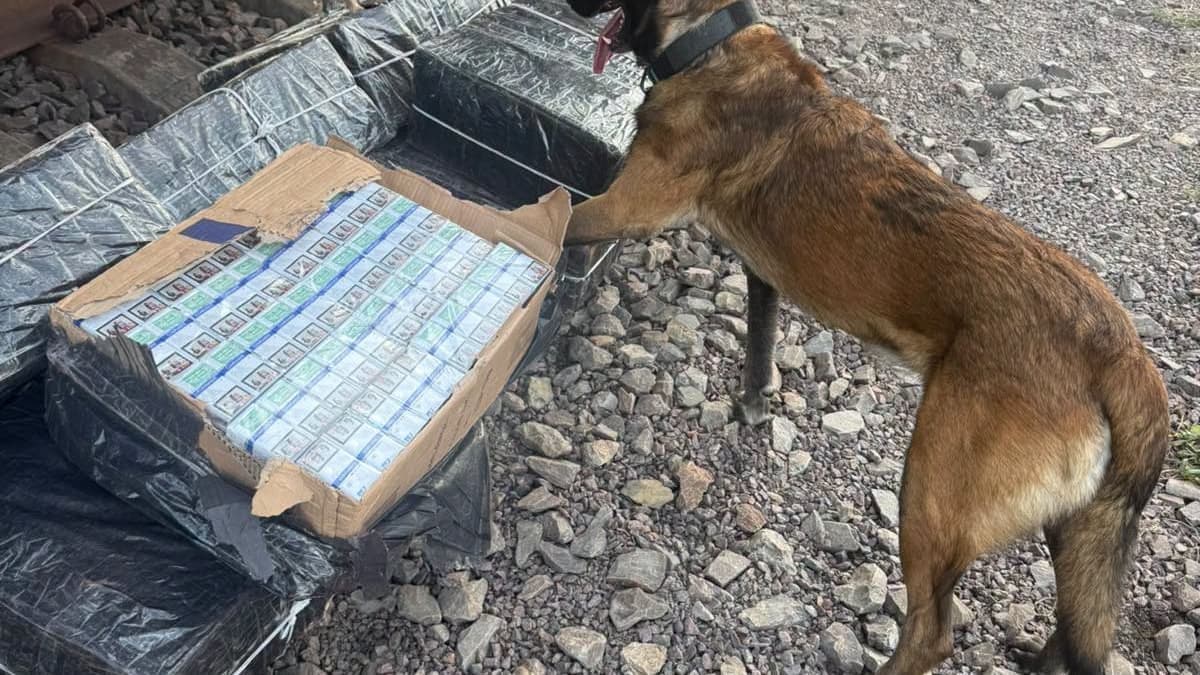 Több ezer doboz zárjegy nélküli cigaretta bukkant elő a szlovák–ukrán vasúti határon