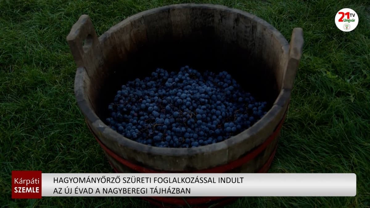 Nagyberegi Tájházban kezdődött a szüreti évad hagyományőrző programokkal