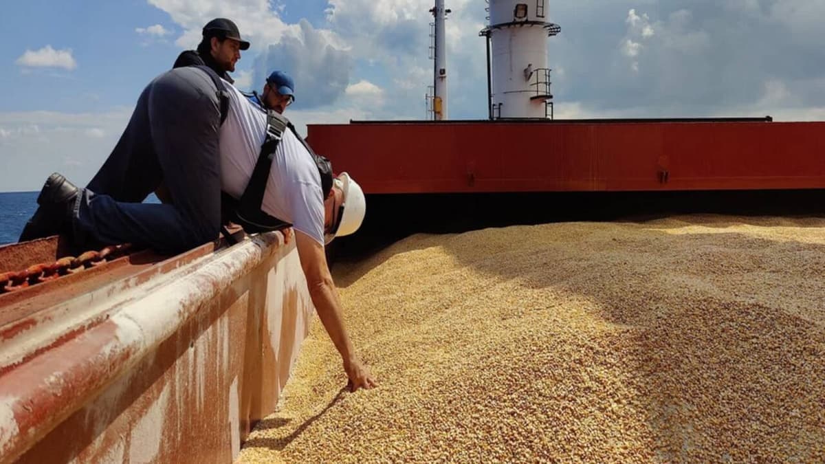 Ukrajna mezőgazdasági exportja súlyos veszteséget szenved a fekete-tengeri blokád miatt