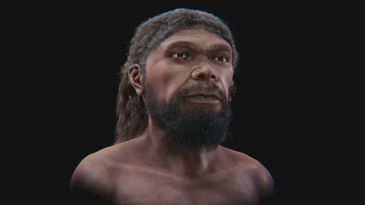 Digitális rekonstrukcióval tárult fel a legősibb Homo sapiens arca
