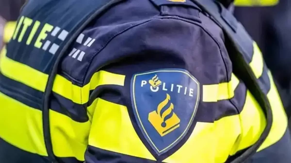 Hamis fájdalomcsillapítók miatt három halál Hollandiában, 30 illegális gyógyszerweboldalt zártak be