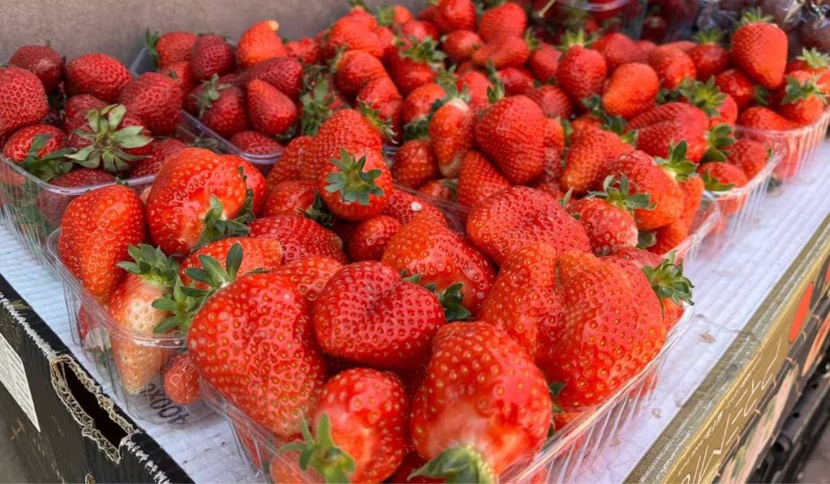 Emelkedtek a friss szamóca árai Ukrajnában a szezon végével