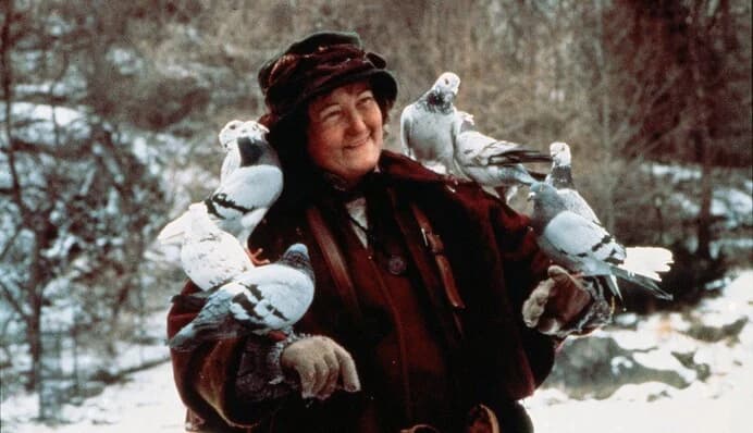 Elhunyt Brenda Fricker, Oscar-díjas ír színésznő és a „Reszkessetek, betörők! 2” emblematikus alakja