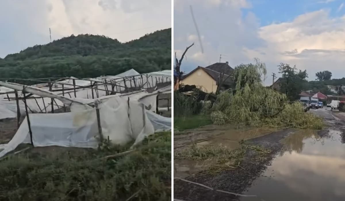 Zivatar tombolt Kárpátalján: kidőlt fák és megrongált tetők jelezték a vihart