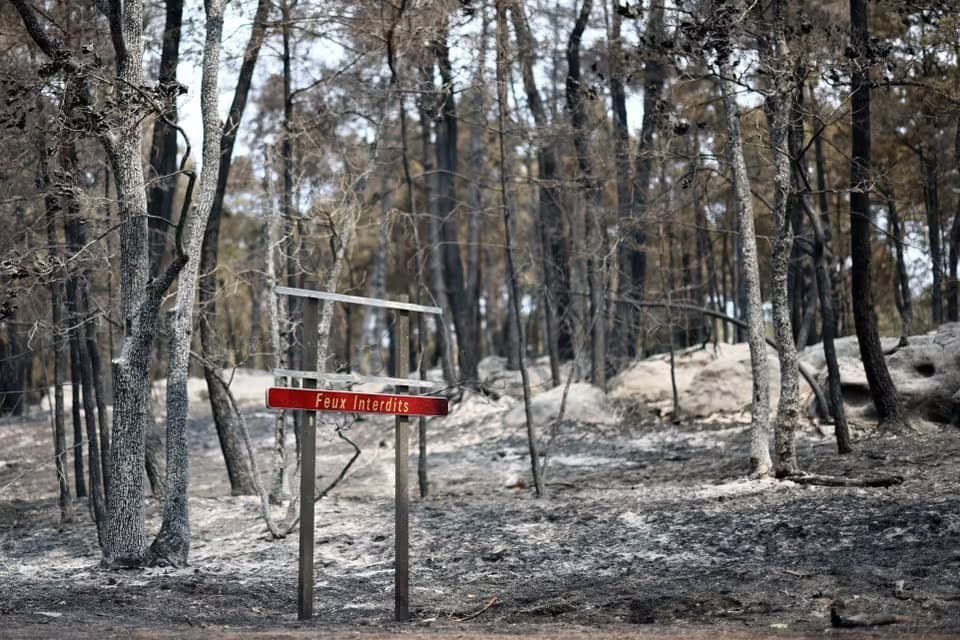 Franciaországban önkéntes tűzoltót gyanúsítanak a Fontainebleau-erdő pusztító lángjai miatt