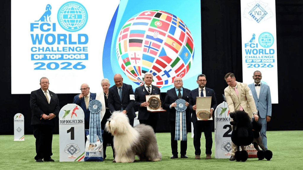 Magyar kutya nyerte el a világ legszebb eb címet Bolognában