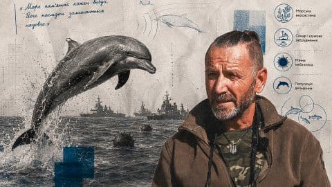 Drámai helyzet: Tömegesen pusztulnak a delfinek a Fekete-tengerben a háborús körülmények miatt
