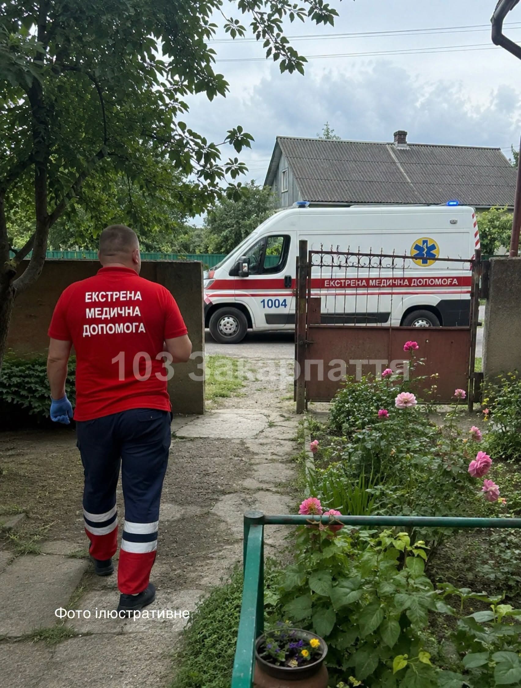 Tragikus baleset Visken: egy férfi életét vesztette leesve a fáról