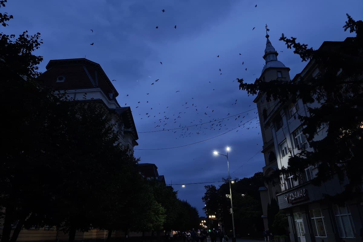 Feszültség és változás a beregszászi járásban: Vajon mi történik körülöttünk?