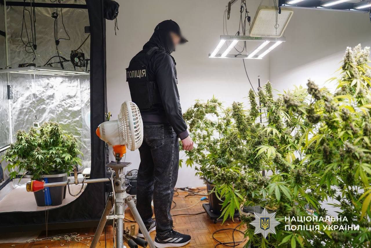 Három titkos droglabort számoltak fel Kárpátalján nyolc őrizetbe vett személy ügyében