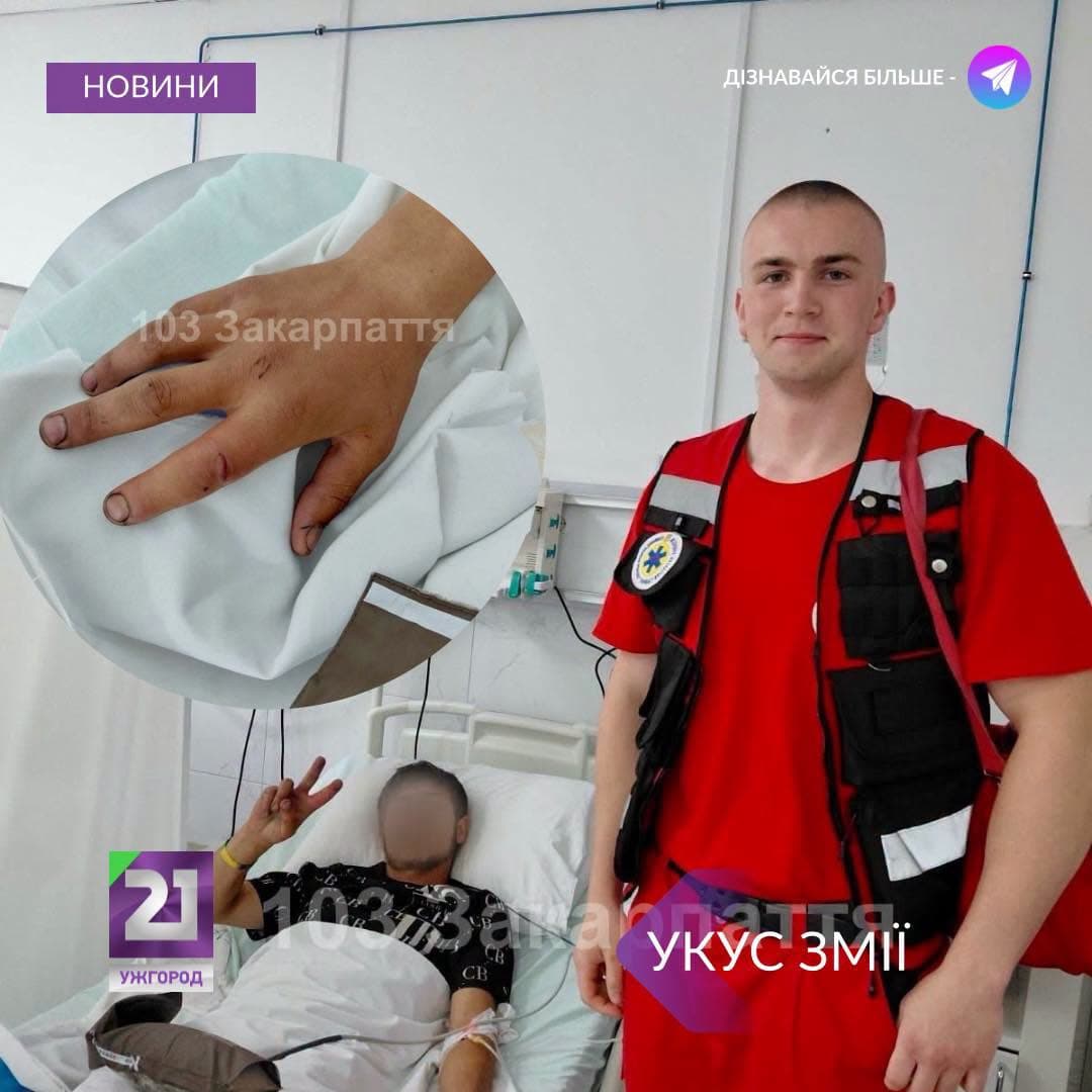 Kígyómarás miatt került kórházba egy fiatal Kárpátalján