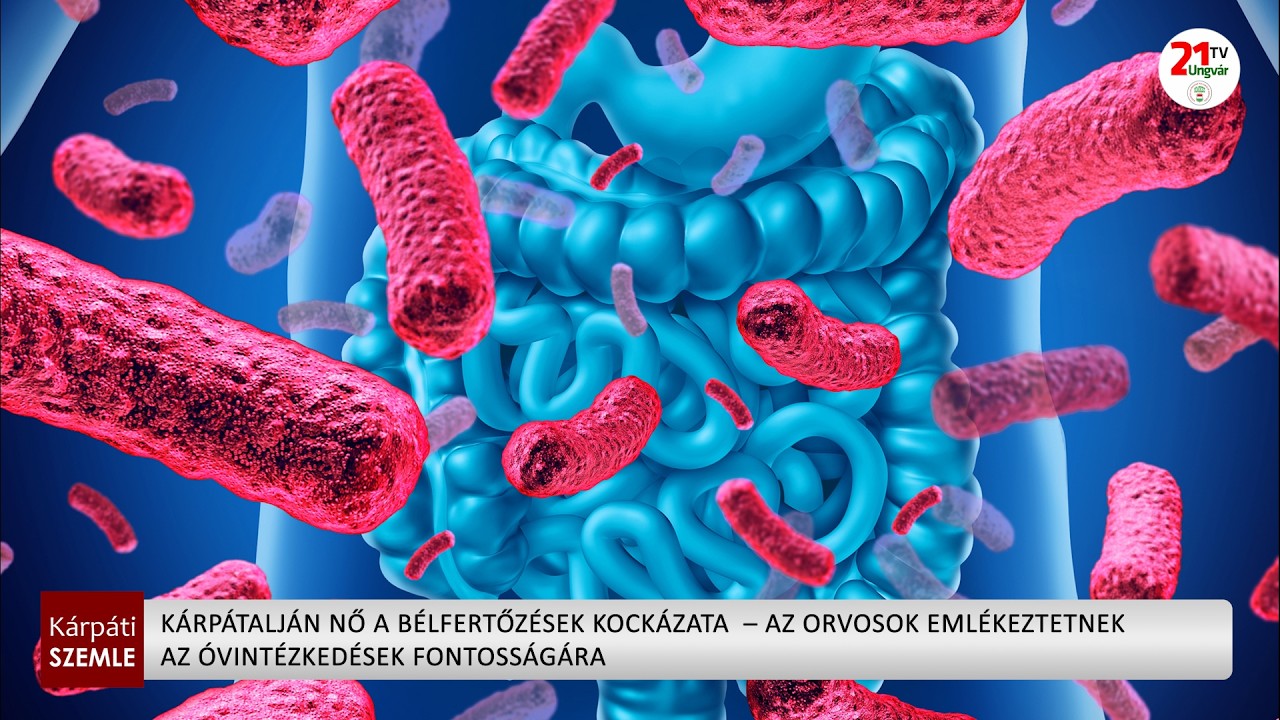 Fertőző betegségek terjednek Kárpátalján, fokozottan figyelnek a bélfertőzésekre