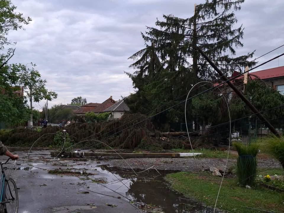 Gyorssegélyt kér a KDNP a kárpátaljai viharkárosultak megsegítésére
