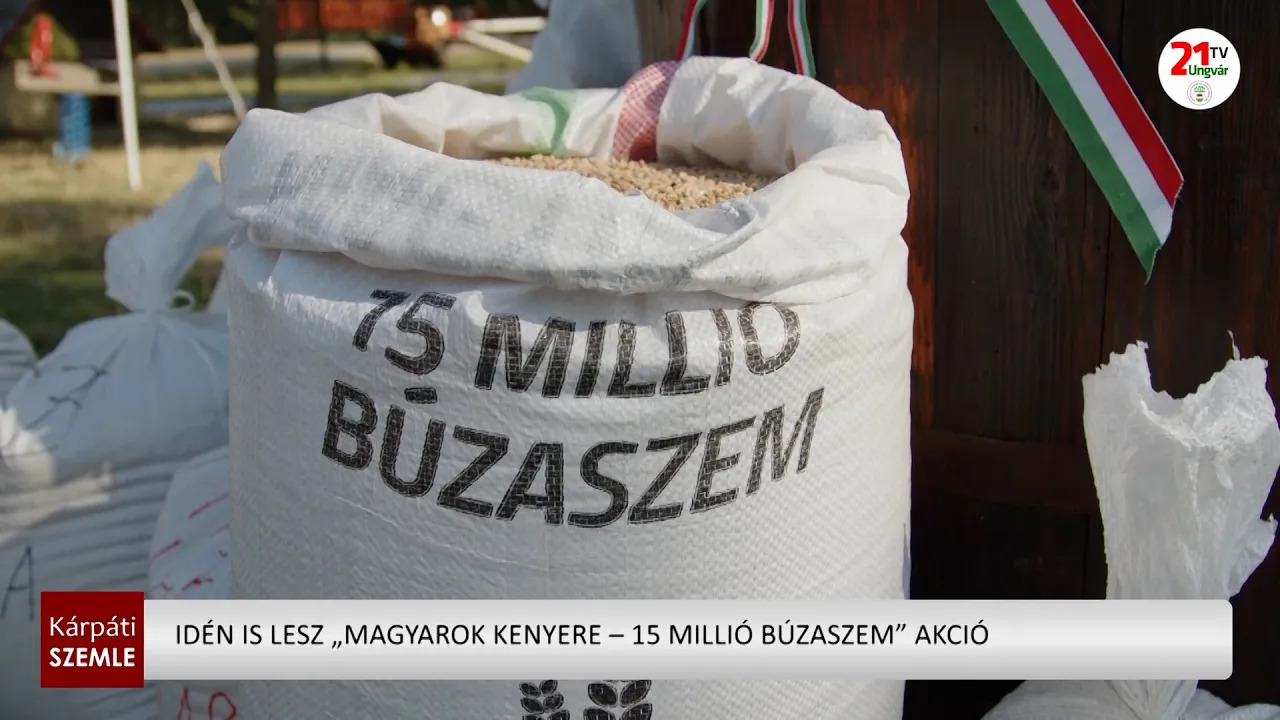 Újraindul a "Magyarok Kenyere – 15 millió búzaszem" akció Kárpátalján