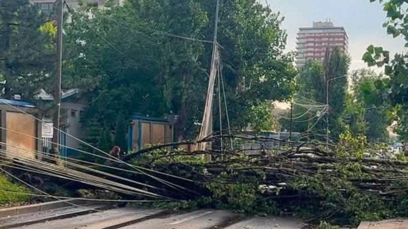Halálos vihar pusztított Bukarest környékén: fákat döntött ki, utakat elöntötte az árvíz