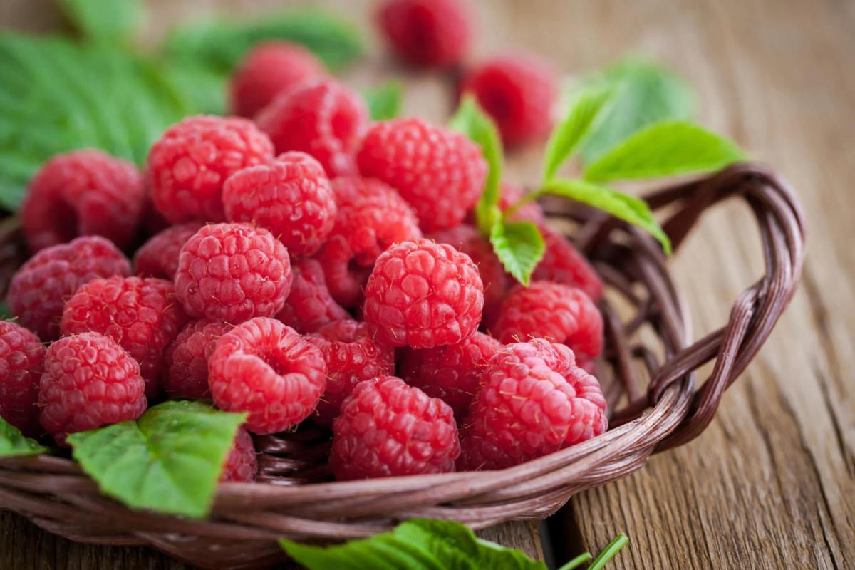 Málna: A vitaminokban gazdag egészségmegőrző gyümölcs