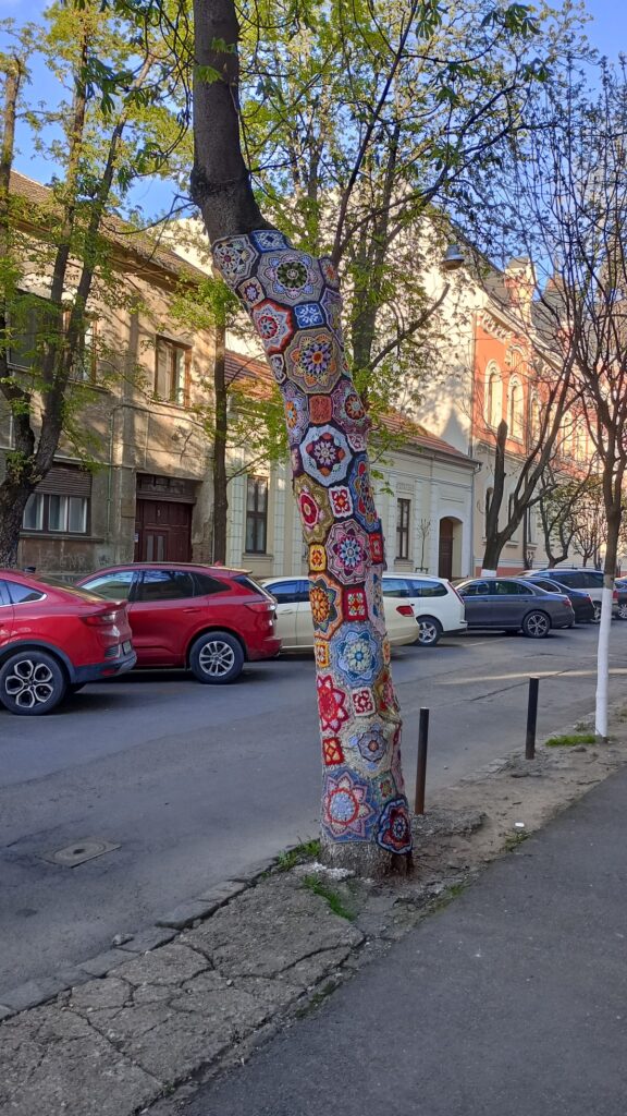 Így öltöztették fel a Kárpátaljai fát – egy különleges fotó